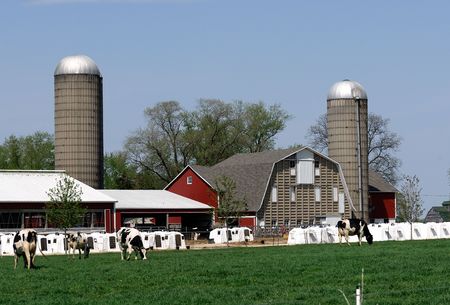 Farm Scene with Barn, Silos, and Calf Pensの写真素材