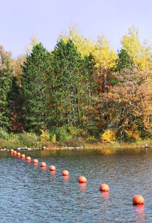 Orange Floats in Lake by Fall Treesの写真素材