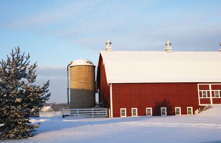 Red Barn in the Snow by Evergreen Treeの写真素材