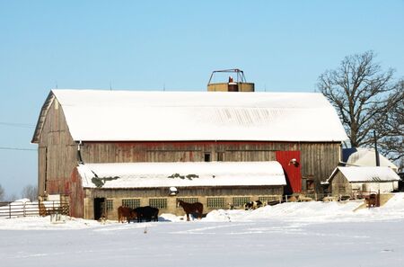 Old Barn in the Snow by the Horsesの写真素材