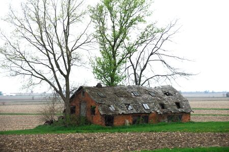 Weathered Shed in Field by Treesの写真素材