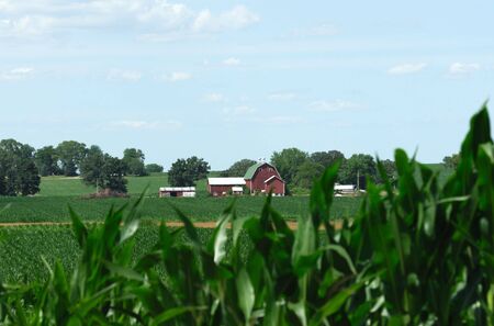 Farm in the Distance Over Cornfieldの写真素材