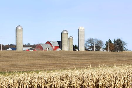 Farm and Cornfieldの写真素材