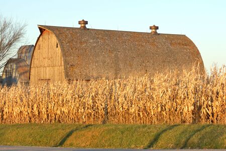 Barn and Cornfield at Sunsetの写真素材