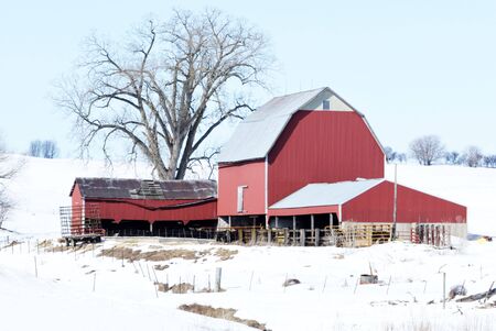 Red Farm Buildings in the Snowの写真素材