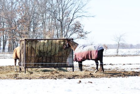 Horses at Hay Feederの写真素材
