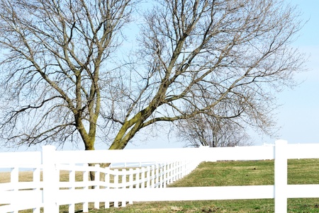 White Fence on Hillsideの写真素材