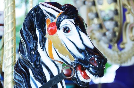 Carousel Zebraのeditorial素材