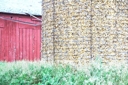 Barn and Corn Cribの写真素材
