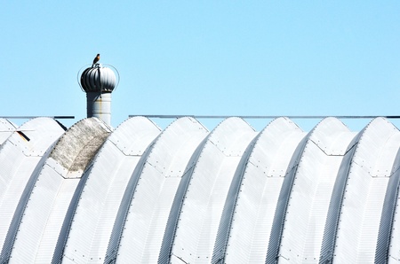 Bird on Ventの写真素材