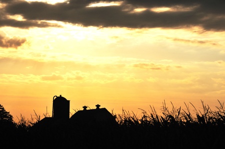 Farm Silhouetteの写真素材