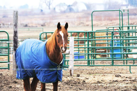Blue Blanket