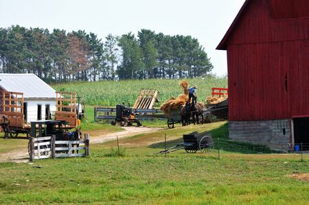 Amish Farmの写真素材