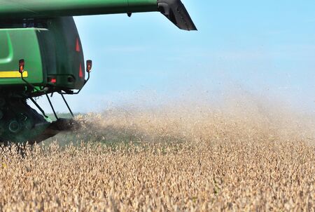 Soybean Dustの写真素材