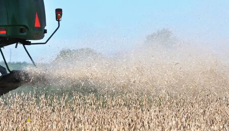 Soybean Dustの写真素材
