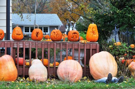 Halloween Displayの写真素材