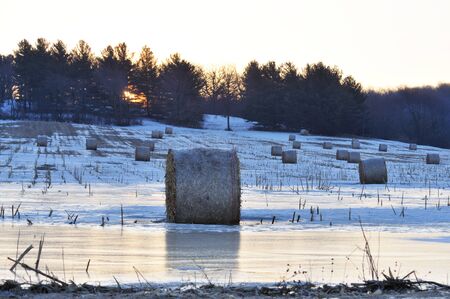Bales at Sunriseの写真素材