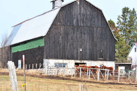 Gray Barn