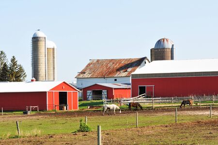 Horse Farmの写真素材