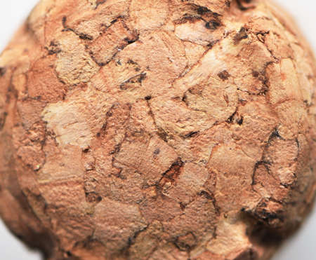 Close-up of Corkの写真素材