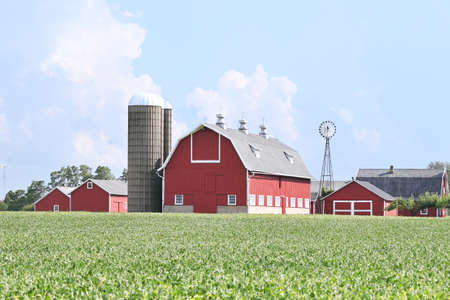 Barn Behind Soybean Fieldの写真素材