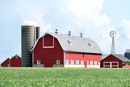 Barn Behind Soybean Fieldの写真素材
