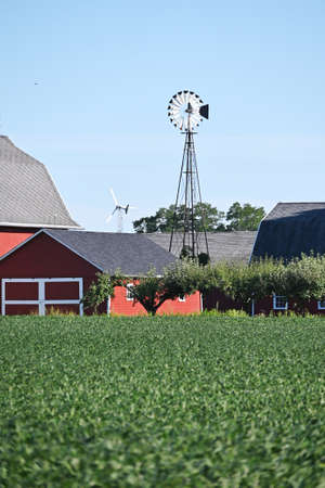 Barn Behind Soybean Fieldの写真素材