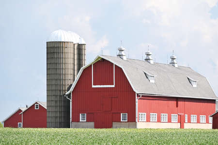 Barn Behind Soybean Fieldの写真素材