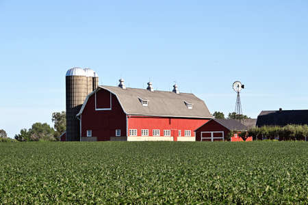Barn Behind Soybean Fieldの写真素材