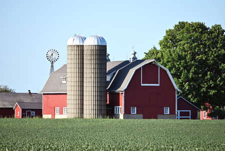 Barn Behind Soybean Fieldの写真素材