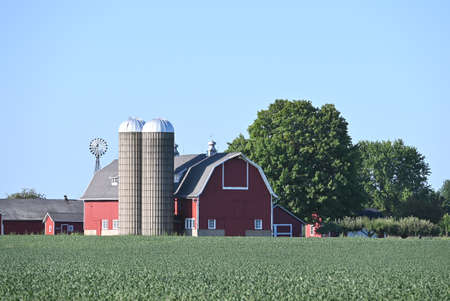 Barn Behind Soybean Fieldの写真素材