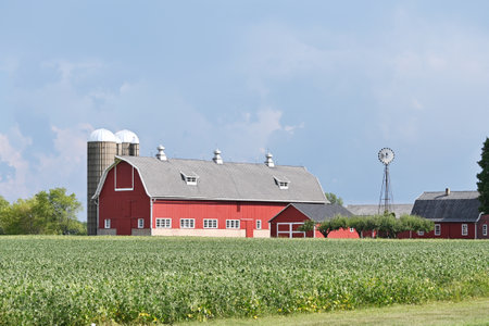 Barn Behind Soybean Fieldの写真素材