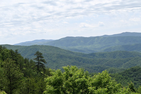 Smoky Mountains in Springの写真素材