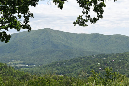 Smoky Mountains in Springの写真素材
