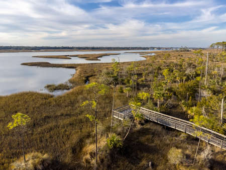 Aerial view of a wooden bridge over a marsh on a sunny day.の写真素材