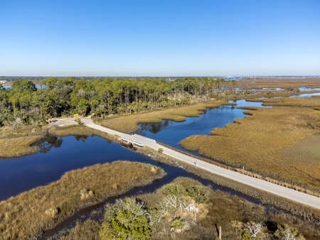Aerial view of the swamp in Everglades National Park, Florida.の写真素材