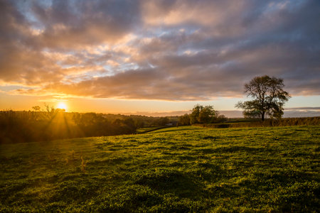 Sunset in farm fields with tree and beautiful cloudy sky, Cornwall, UKの写真素材