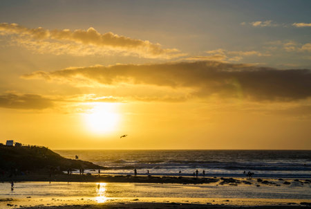 sunset at polzeath beach , cornwall, ukの写真素材