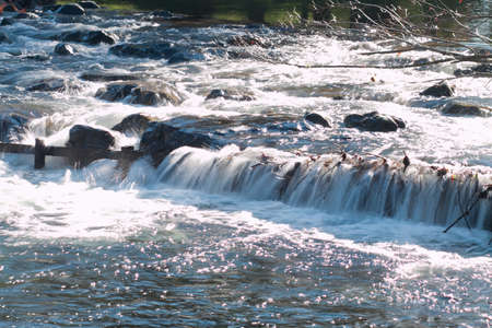 Powerful cascade of flowing water in the riverの写真素材