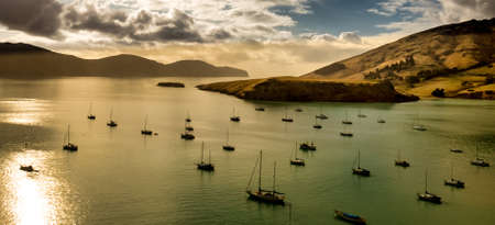Flotilla of sailing yachts moored in he calm waters of Governors Bay in Banks Peninsulaの写真素材
