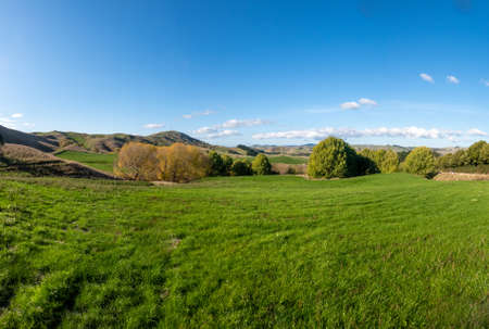 lush green grazing fields on the farmの写真素材