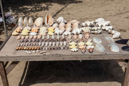 A table of polished beautiful varieties of sea shells for sale on Kuta Beach Baliの写真素材