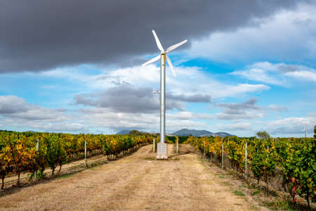 Day 6. Martinborough, Wairarapa / New Zealand April 01, 2020 Cycling around the vineyards during the...