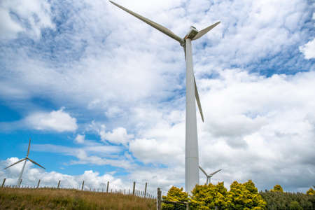Yellow wild gorse bushes growing in the rural pasture beneath the giant Wind turbines generating electricity on the hills of a rural agricultural farmの写真素材