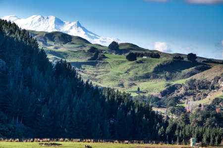 Snow capped volcanic peak sitting about the agricultural grazing farming and forestry land in Rural tranquilityの写真素材