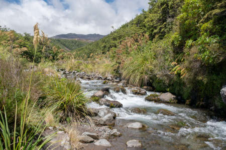 Fast flowing mountain stream rapids in the national parkの写真素材