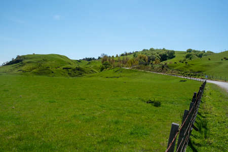 long winding narrow rural gravel road through farming pasture agricultural landの写真素材