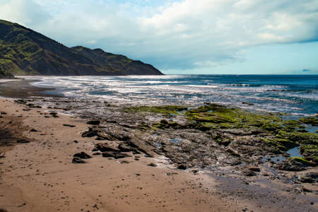 green moss and slime on the rocks at low tide at the coastの写真素材