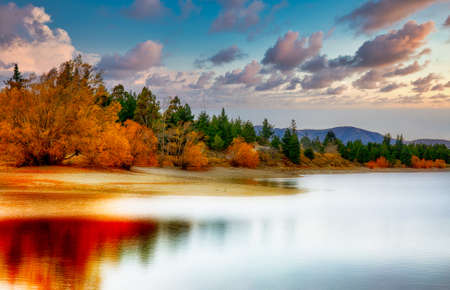 The beautiful Autumn hues and vibrant colours of the willow trees on the  shore of the Lakeの写真素材
