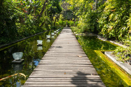 Waking on the wooden boardwalk through lush tropical gardens in Baliの写真素材